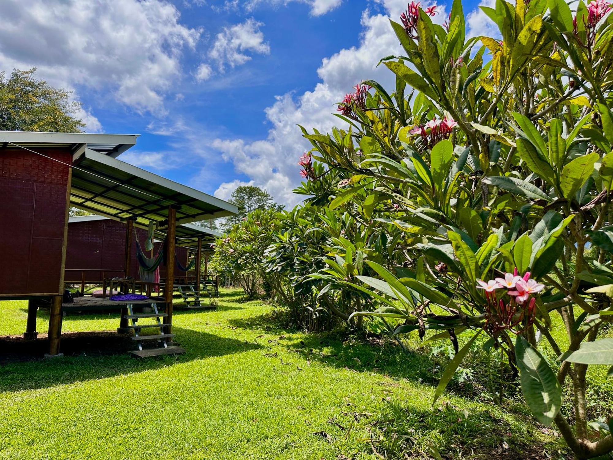 Hotel Twin Hut Pai Exterior foto