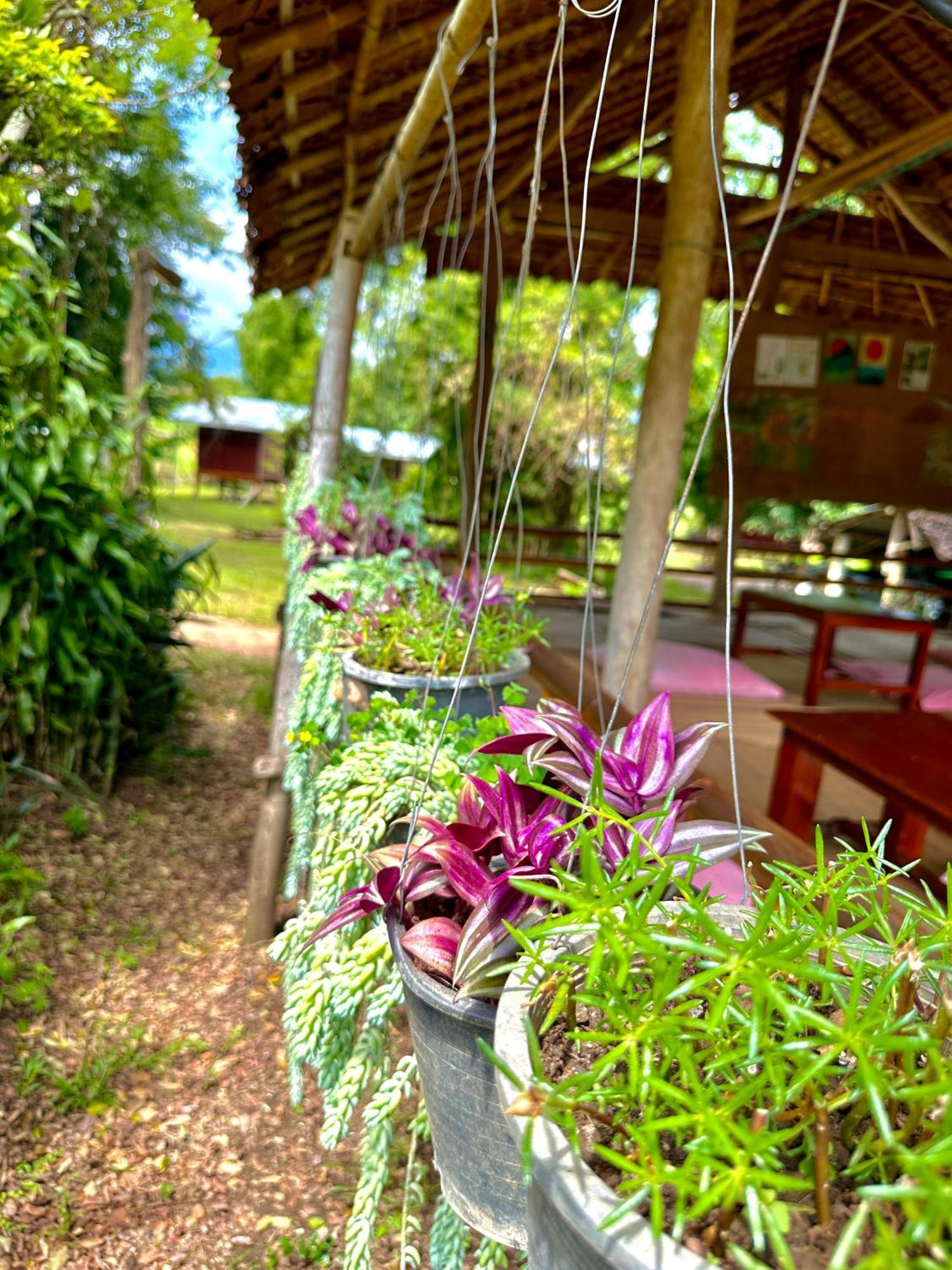 Hotel Twin Hut Pai Exterior foto